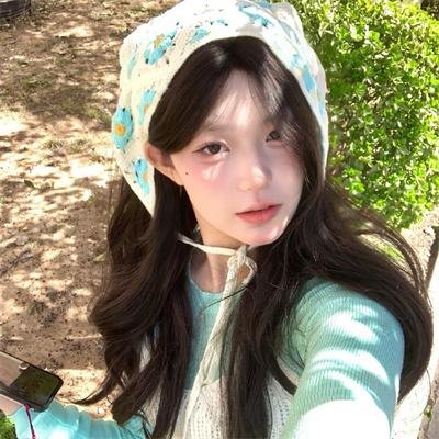 崔弟的高飞冒险